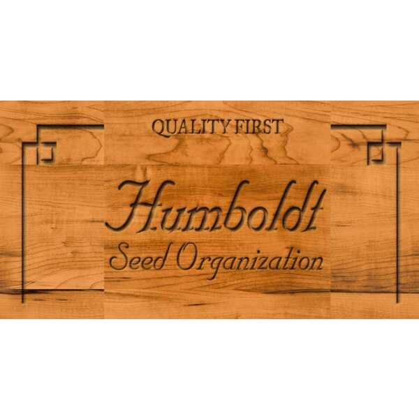 Humboldt Seeds Organisation